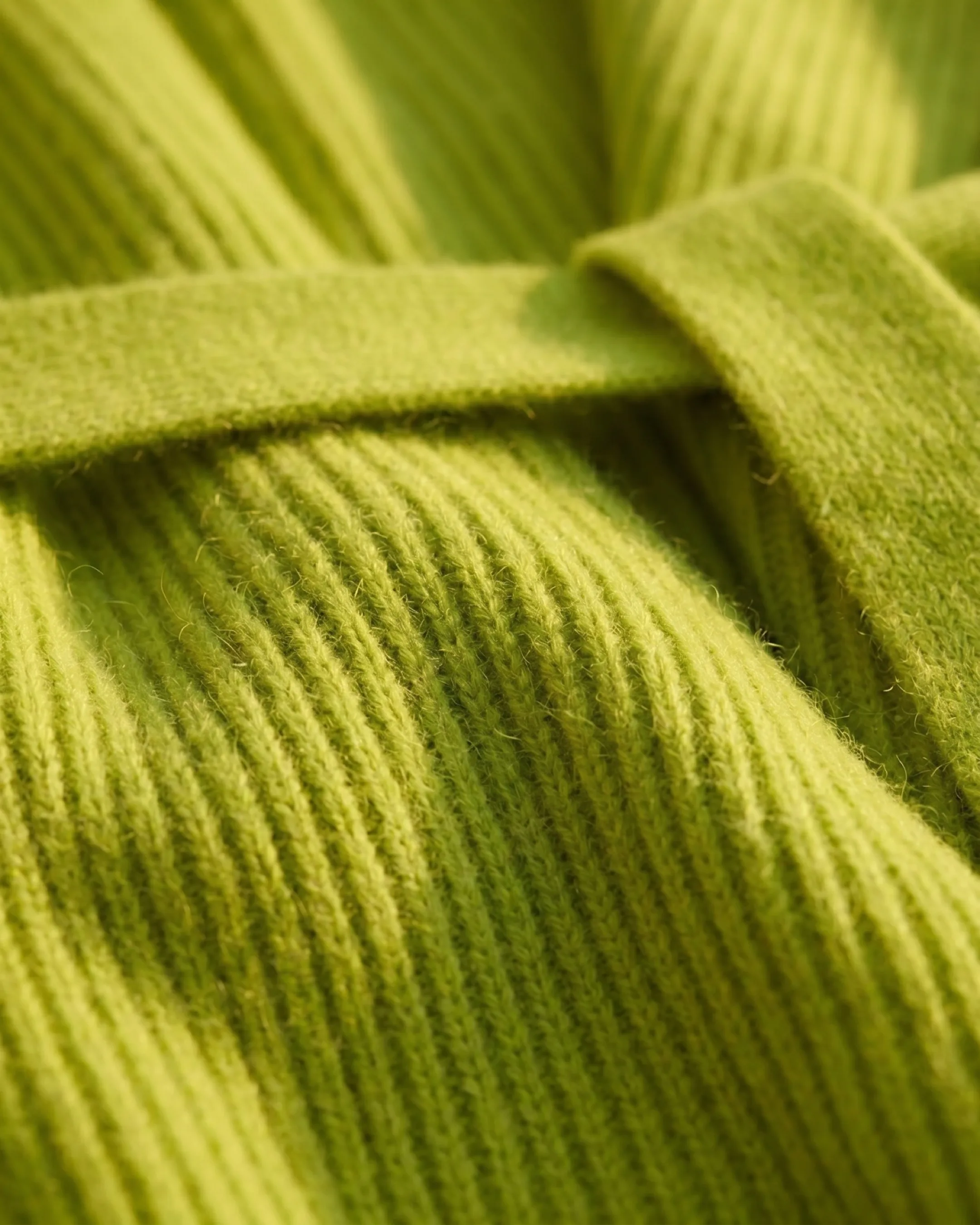Hugo Caesar Tassi Agrippina macro of the plush ribbed alpaca-wool knit with the self-tie belt crossing through
